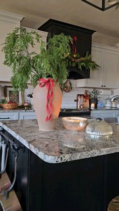 a vase with plants in it sitting on top of a kitchen counter