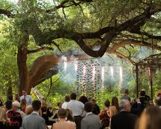 a group of people that are standing in the grass near trees with lights on them