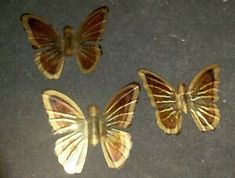 three butterflies sitting on top of a table next to each other