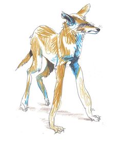 a drawing of a dog standing on one leg