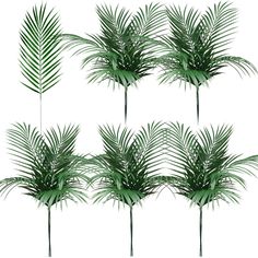 PRICES MAY VARY. Appropriate Size: these palm tree leaves have a unified size of approx. 20 x 63 cm/ 8 x 25 inches, and the length of individual leaf part is about 37 cm/ 15 inches, appropriate to be matched well with other home decorations without taking up much space Trustworthy Material: the large artificial palm leaves are mainly made of quality plastic material with iron wires inside, safe and odorless, sturdy and adjustable, light in weight, exquisite in workmanship, not easy to fade, tear Tropical Leaf Decor, Fake Greenery, Artificial Palm Leaves, Safari Decor, Greenery Plants, Safari Wedding, Jungle Safari Party, Wedding Party Flowers, Safari Decorations