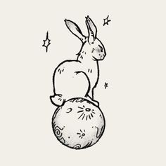 a drawing of a rabbit sitting on top of a ball with stars in the background