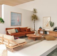 a living room filled with furniture and plants