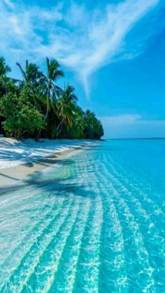 the water is very clear and blue in this tropical beach scene, with palm trees on either side