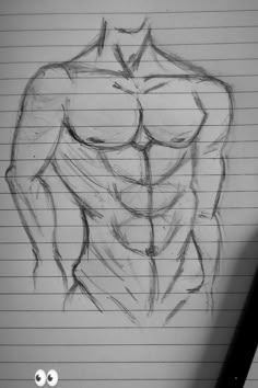 a pencil drawing of a man's torso