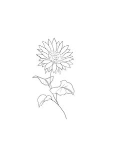 Sunflower Fine Line Drawing, Cartoon Sunflower Tattoo, Tiny Sunflower Tattoo Simple, Sunflower Branding, Sunflower Line Tattoo, Fineline Sunflower Tattoo