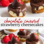 chocolate covered strawberry cheesecakes on a plate with strawberries