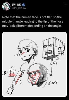 an image of someone's face with the words not that human face is not flat, so the middle triangle leading to the tip of the nose may look different bending on the angle