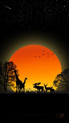 giraffes and antelope silhouetted against an orange sunset with stars