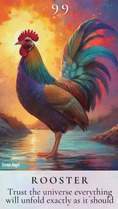 a rooster standing on top of a body of water next to an orange and blue sky