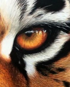 an orange and black tiger's eye is seen in this close up photo,