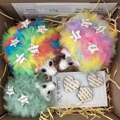 two stuffed animals are in a box with some tags on them and one is wearing a rainbow outfit