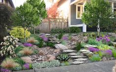 a dog is sitting on the sidewalk in front of a house with landscaping around it