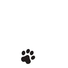 an animal paw print on a white background