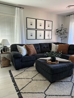 a living room filled with furniture and a large rug on top of a hard wood floor