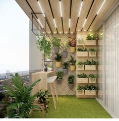 a room with plants on shelves and green carpeted flooring, in the middle of an apartment building