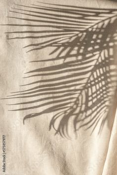 the shadow of a palm leaf is cast on a piece of linen with a white background