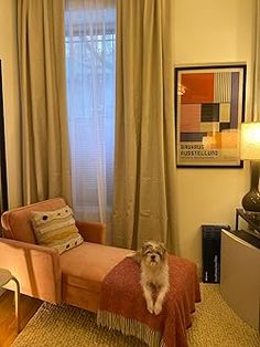 a small dog sitting on top of a bed in a bedroom next to a window