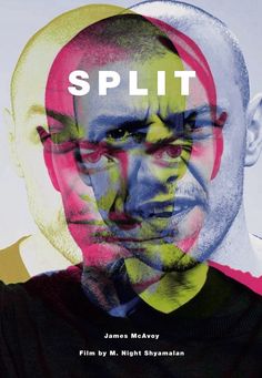 the cover of splitt by james mclayn and michael schryman