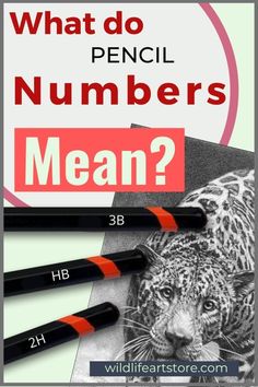 what do pencil numbers mean. Types Of Pencil Shading, Pencil Hatching, Advance Drawing, Learn Shading, Draw Texture, Drawing For Adults, Drawing Tips For Beginners, Pencil Art Ideas, Art Sketchbook Drawing