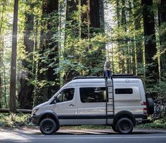 a person standing on top of a van in the middle of a tree filled forest