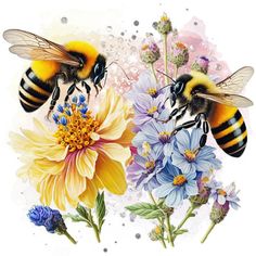 two bees on flowers with watercolor paint effect in the back ground and white background