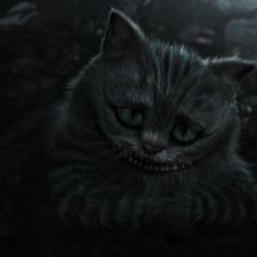 a black cat with glowing blue eyes and fangs on it's face in the dark