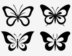 four black and white butterflies with different shapes on the wings, one is facing forward