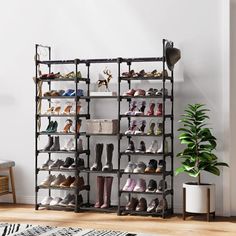 a shoe rack with many pairs of shoes on it in a living room next to a potted plant