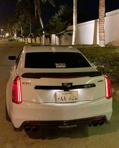 the back end of a white car parked in front of a palm tree lined street