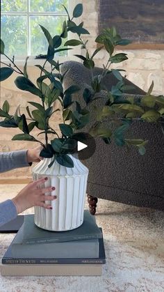 a woman is arranging a potted plant on top of books