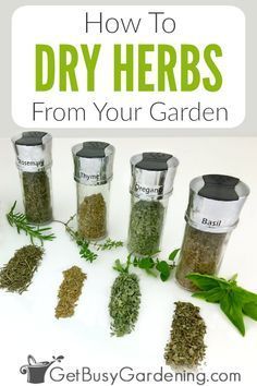 herbs in glass jars with the title how to dry herbs from your garden