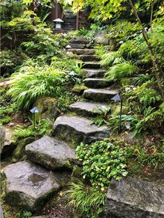 a stone path in the middle of a forest