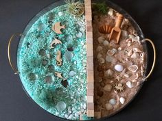 two trays filled with sand and sea shells