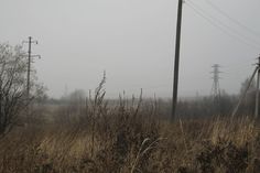 an empty field with power lines and telephone poles in the distance on a foggy day