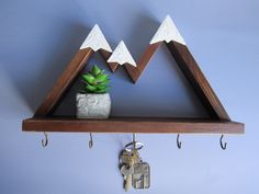 a potted plant sitting on top of a wooden shelf next to two key hooks