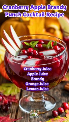 cranberry apple brandy punch cocktail recipe