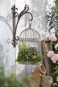 a birdcage with plants in it hanging from the side of a house wall