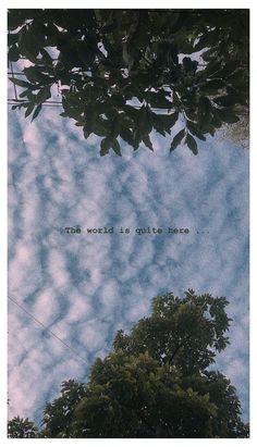 the sky is filled with clouds and there are trees in front of it that says, the world is quite here