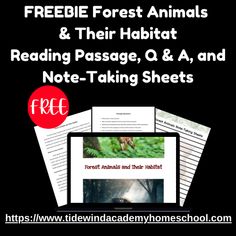 freebie forest animals and their habitat reading passage, q & a, and note - taking sheets