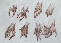 several different types of hands and claws drawn in pencil on a white paper background,