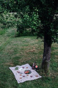 a picnic is set up in the grass under a tree