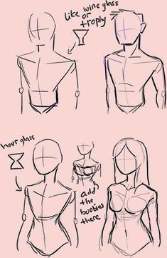 some drawings of different body shapes