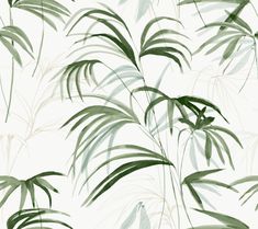 an artistic photo of green leaves on a white wallpaper background with black and grey accents