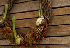 a bunch of vegetables that are hanging from a door handle on a wooden wall with moss