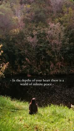 a bear sitting in the grass with a quote above it that says, in the deeps of your heart there is a world of infinite peace