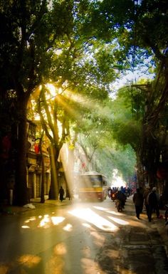 the sun shines through the trees on a street in an urban area with people walking and riding bikes