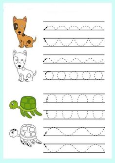 the letter o is for turtle and dog worksheet with an animal on it