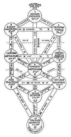 an old diagram showing the structure of a tree with all its branches labeled in black and white