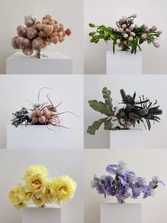 there are many different types of flowers in the vases